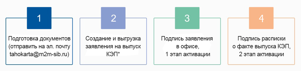 этапы активация скзи.jpg